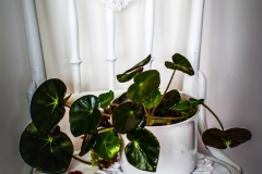 galeria-csengey-5