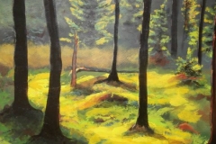 festmeny9