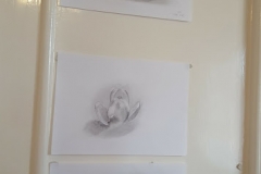 jobbagyfelteke35